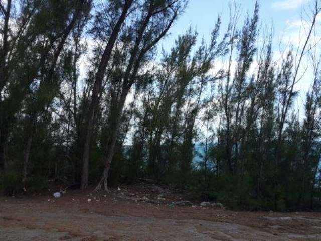 Singlefamilyvacant - A spacious..
