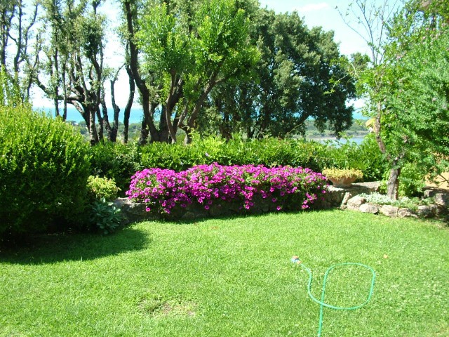 2 Bedrooms - Apartment - For Sale - 2