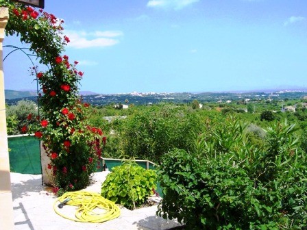 3 Bedrooms - Finca - Islas Baleares -.. - 2