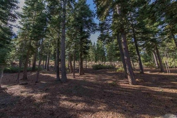 Land For Sale: Truckee, California - 2