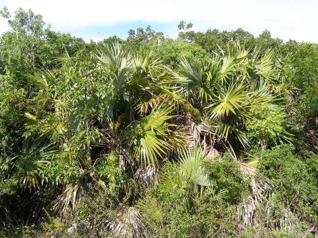 Singlefamilyvacant - Lot 4, Block 32..