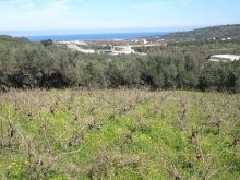 Crete Property - 2