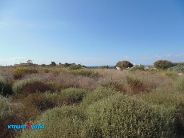 Agricultural Land in Chlorakas, Pafos - 2