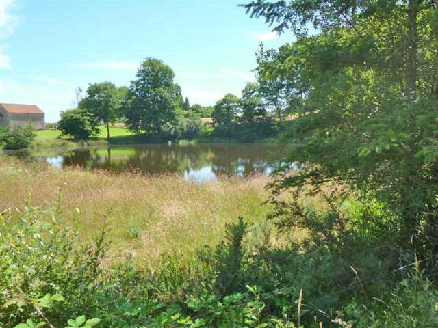 Ref. 3717 - 3721: Almost 5 Acres Of.. - 2