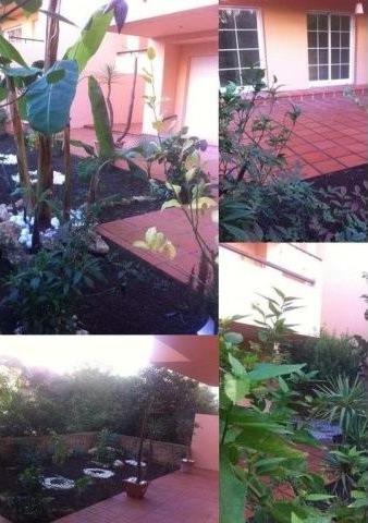 Apartment - Beautiful ground floor..