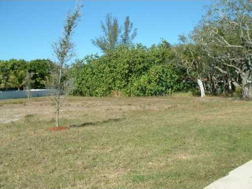 Land For Sale: 625 Neptune Ave.. - 2
