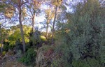 - Land - For Sale