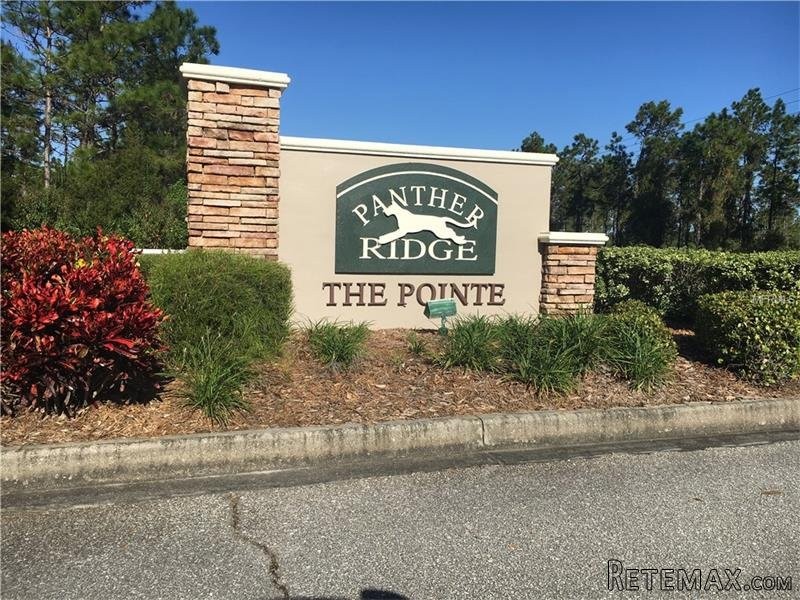 Land For Sale: 24006 83rd Ave E, Myakka.. - 2