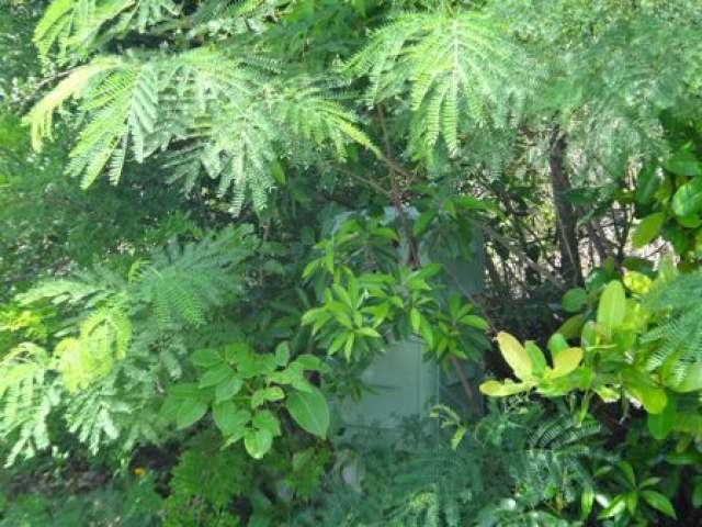 Singlefamilyvacant - Multifamily lot in.. - 2