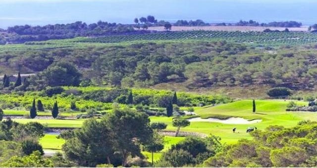 Plots for sale in Campoamor