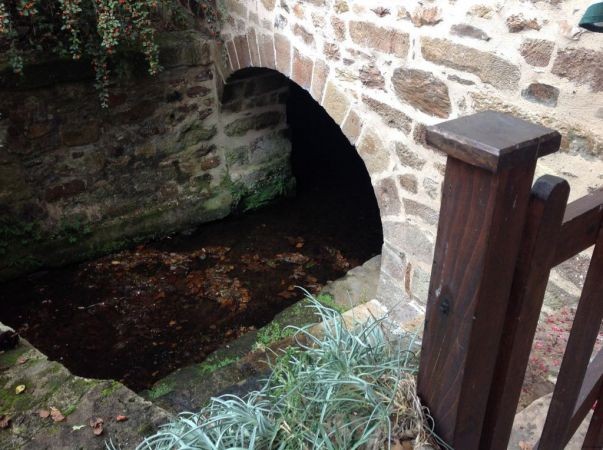 Water Mill with 2 Guest Cottages and.. - 2