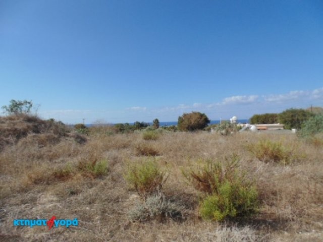 Agricultural Land in Chlorakas, Pafos