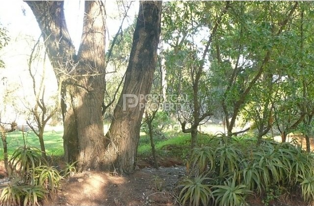 Plot of land with 3000m2 with ruined..
