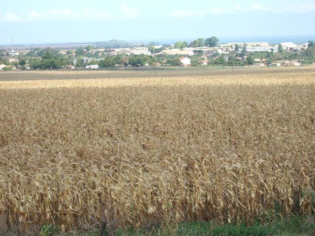 Land in Durankulak, Shabla