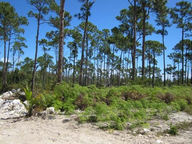 Singlefamilyvacant - Very affordable..