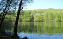 Plot for sale in Przytoń (polna), 11000..