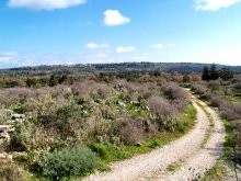 Within Walking Distance To The Village.. - 2