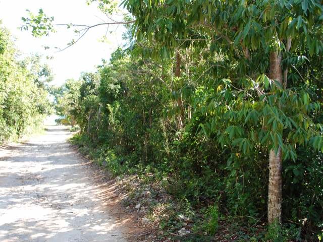 Singlefamilyvacant - Lot 97 is a..