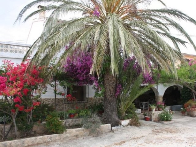 5 Bedrooms - Villa - Alicante - For Sale - 2