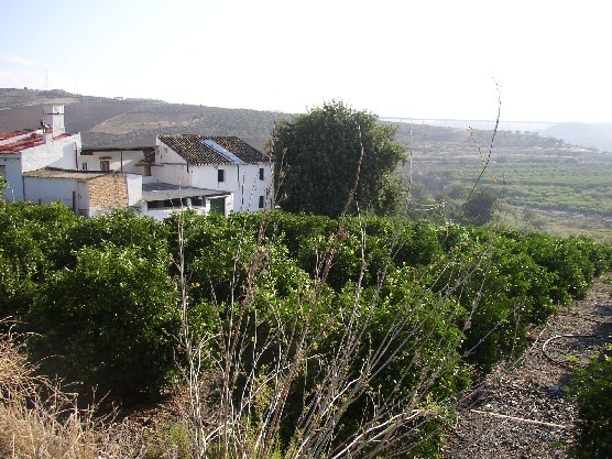 Villa - A semi detached 2 level house..