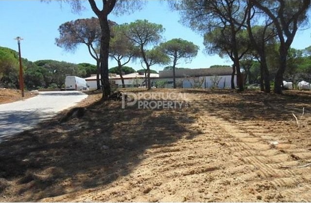 Plots of land in luxurious location
