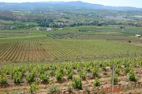 - Property - Malaga - For Sale