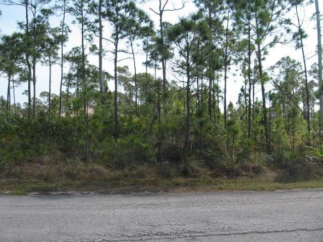 Singlefamilyvacant - Duplex lot located..