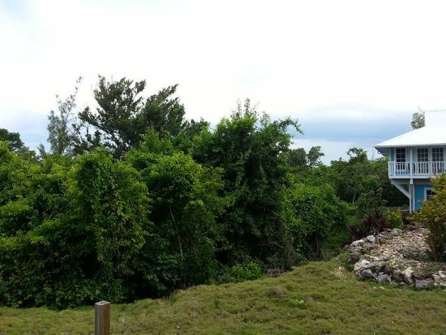 Singlefamilyvacant - This large Abaco.. - 2