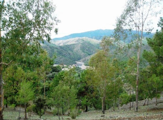 Finca for sale in Istan, Malaga