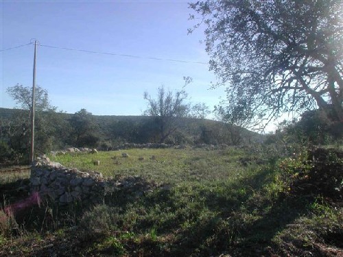 Land - 9.820 Sq. mts. Building Plot set.. - 2