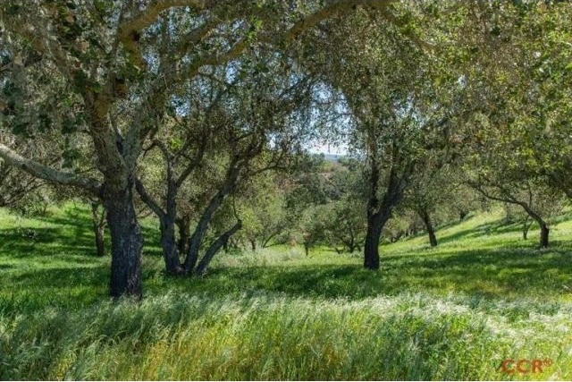 Land For Sale: 0 East Oak Trail, Santa..