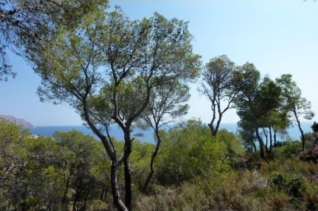 Building Plot, Altea, Costa Blanca..