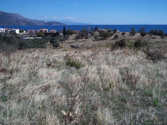 B337 - Land parcel of 16000m, at.. - 2