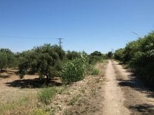 Invest On Land In Greece - 2