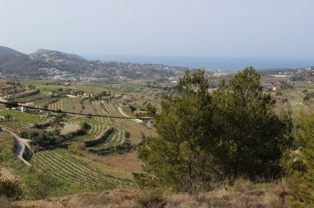 Plot in Teulada