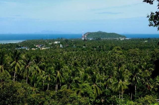 Koh Phangan - 8 1/4 Rai Plot beautiful.. - 2