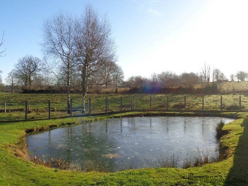 Detached House with Pond