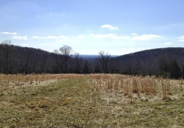 Land For Sale: 5336 BRUNSWICK, BROAD..