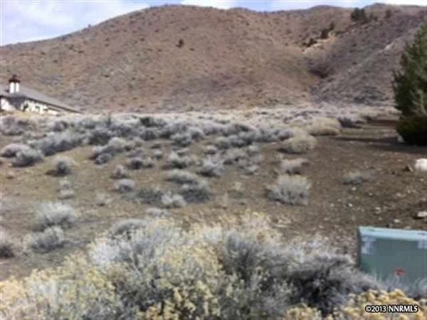 Land For Sale: Verdi, Nevada - 2