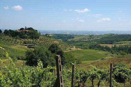 Estate With Winery And 15 Apartments - 2