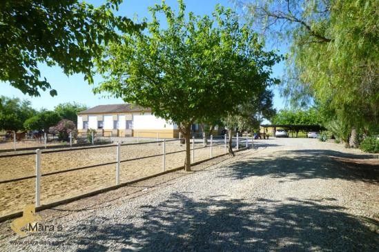 Finca casa de campo Jerez de la..