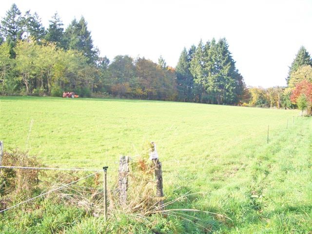 Building Plot Of 8,407 m2 In The..