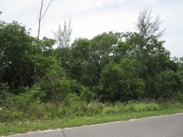 Singlefamilyvacant - This large single.. - 2