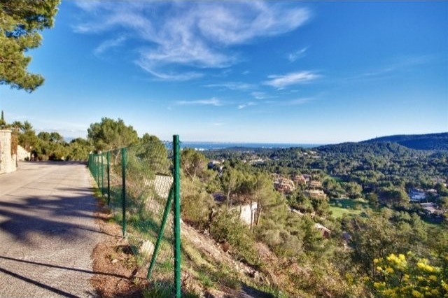 Fantastic plot in Son Vida - 2