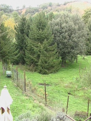 Country/farmhouse - For Sale - Near.. - 2