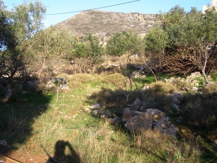 DCP-214 beautiful plot in Kambia.. - 2