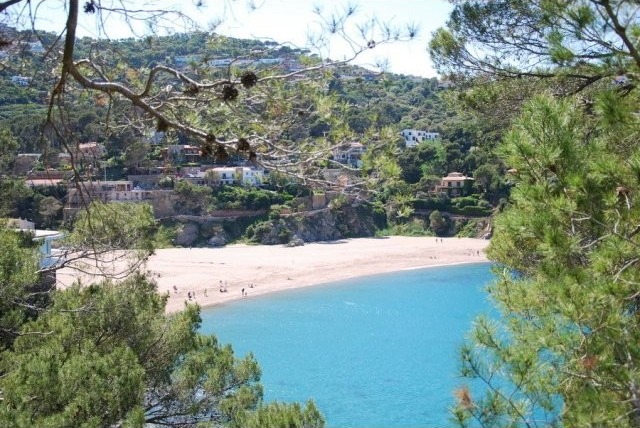 Exclusive and unique plot for sale on.. - 2