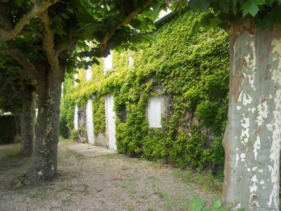 Beautiful Family Home, Good Character - 2