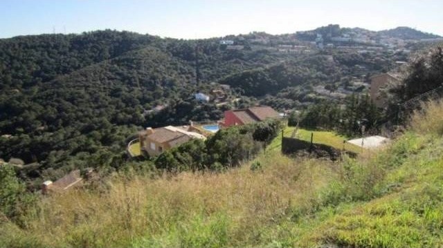 PLOTS IN ES VALLS - 2