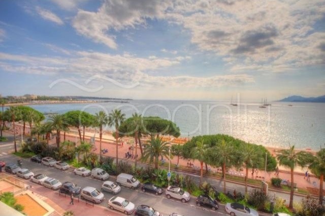 1 Bedroom - Apartment - For Sale